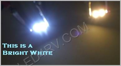 Bright White Festoon Fuse Style Courtesy Light F2BW28mm SKU182